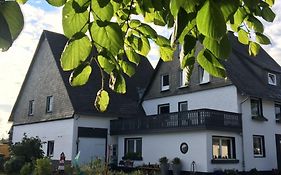 Ferienhaus Winterberg Lodge